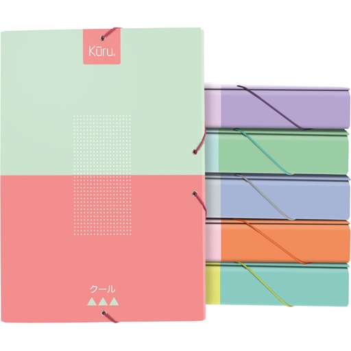 [GRA91270299] CAJA ECOPROJ GOM.5CM KURU3 SURTIDO